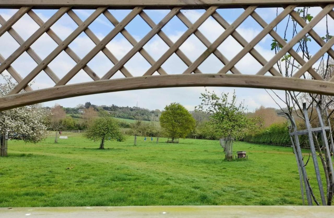 Orchard View Yurt & Hot Tub Somerset Luxury tent Weston-super-Mare