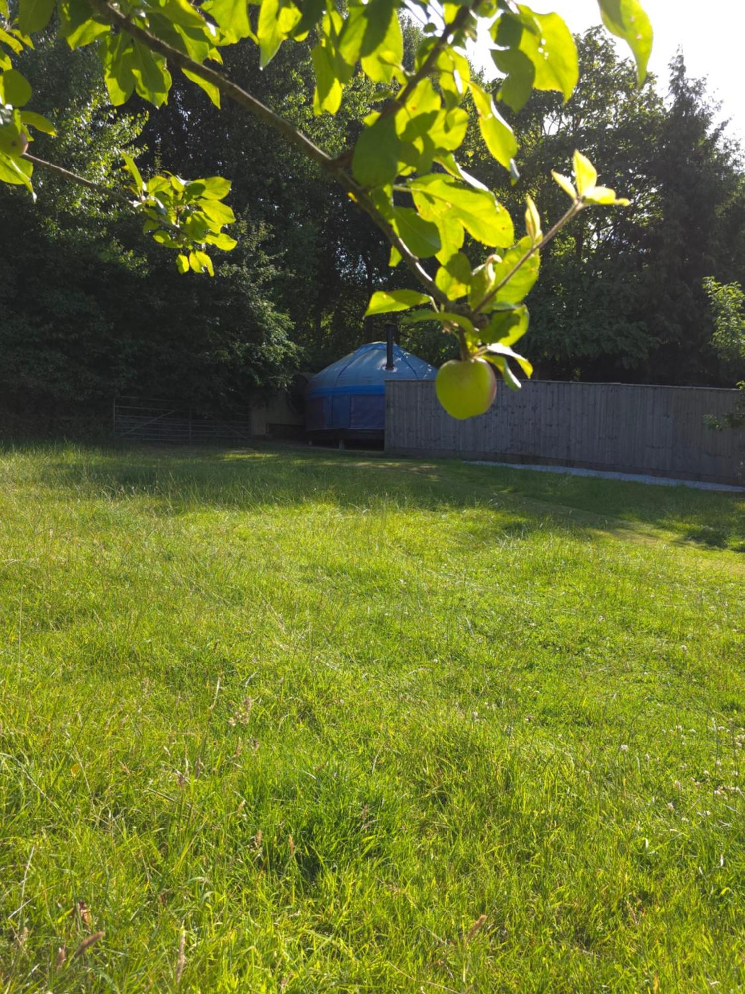 Luxury tent Orchard View Yurt & Hot Tub Somerset Weston-super-Mare